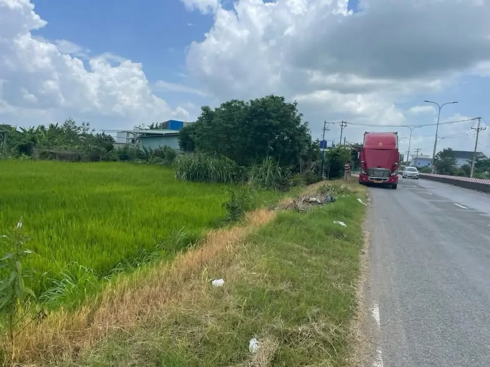 Đất nền mặt tiền đường Tỉnh 830, Cần Đước, 1000m² - Giá chỉ 5.2 tỷ!