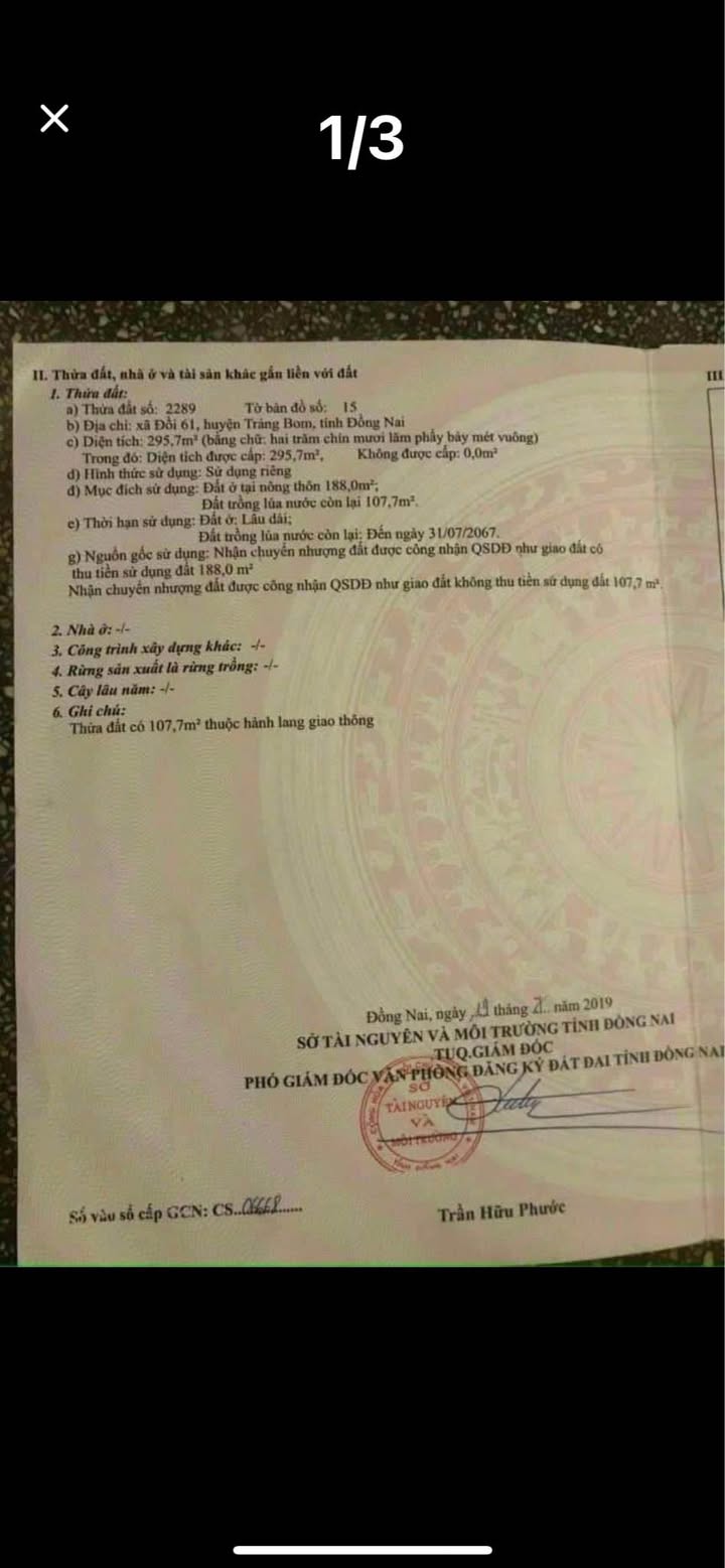 Đất mặt tiền đường Phùng Hưng, xã An Viễn, 288m² - Vị trí đẹp, kinh doanh thuận lợi!