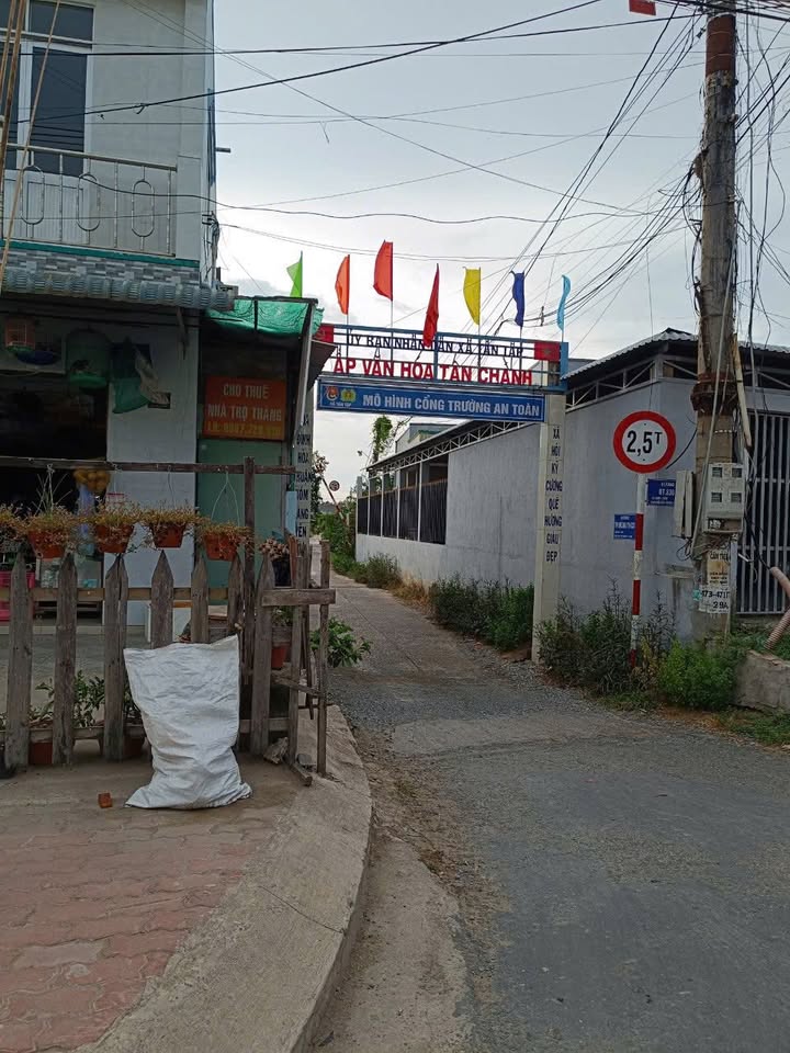 Đất thổ cư xã Tân Tập, Cần Giuộc, 132.5m² giá 1.3 tỷ - Tiềm năng phát triển cao!