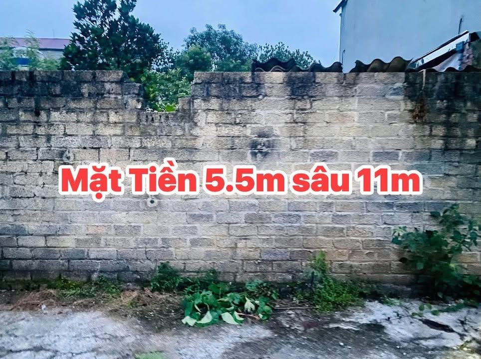 Đất nền Hòa Bình 62m² giá 800 triệu - Sổ đỏ chính chủ, mặt tiền 5.5m!