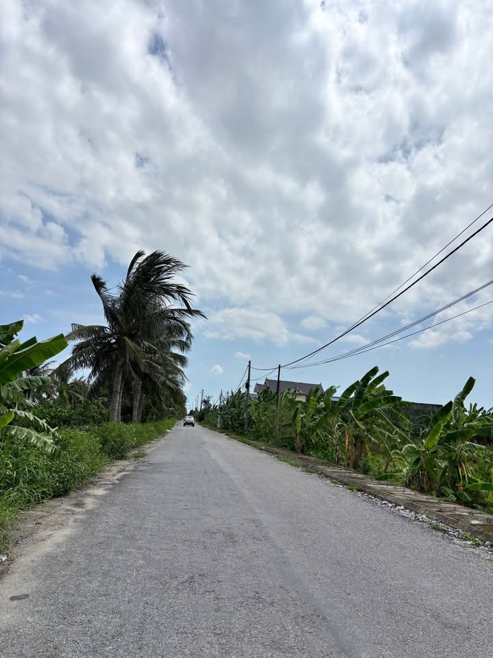 Đất nền Hợp Đức Đồ Sơn 150m² giá 2.475 tỷ - Đầu tư sinh lời ngay!