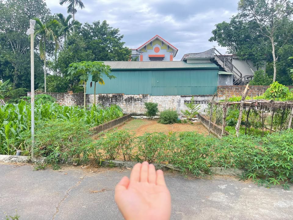 Đất nền mặt tiền Sen Trì 61m² giá thỏa thuận - Khu vực thuận lợi cho phát triển