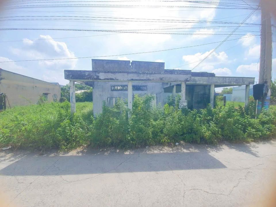 Đất mặt tiền đường Bình Tiền 1, Đức Hòa 172m² - Giá siêu hấp dẫn chỉ 1.6 tỷ!