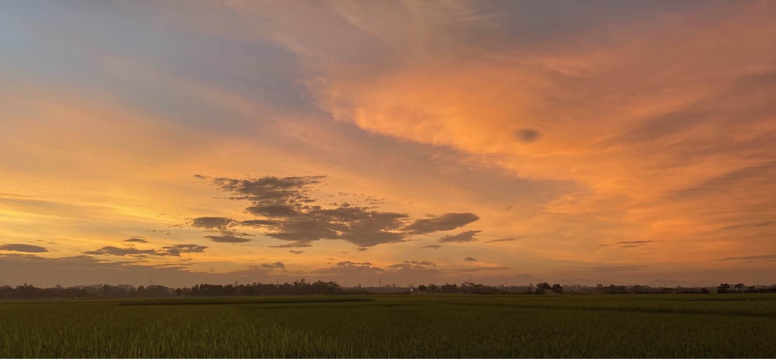 Đất thổ cư Kim Sơn, Sóc Sơn 1000m² - Sổ đỏ trao tay, vị trí đắc địa!