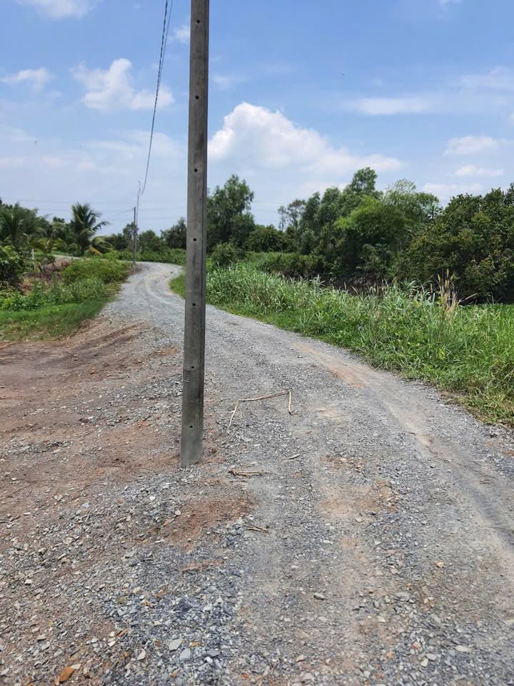 Đất nền Củ Chi 3381m² giá thỏa thuận - Cơ hội đầu tư tuyệt vời!