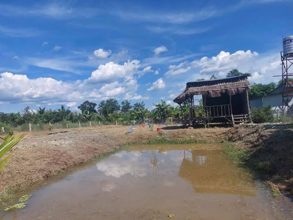 Đất nền 966m² hẻm 221 Đoàn Thị Điểm, Bảo Lộc - Giá chỉ 1.5 tỷ, thổ cư sẵn!