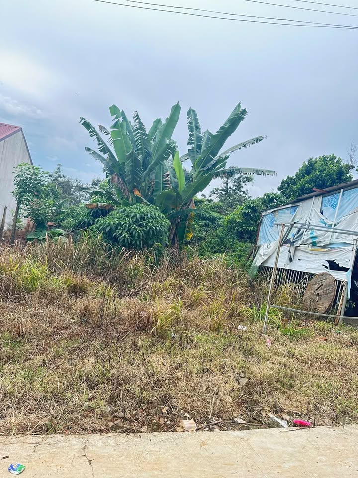 Đất thổ cư tại Tổ 5 Nghĩa Trung, Đăk Nông 180m² giá 550 triệu - Đường bê tông rộng rãi!