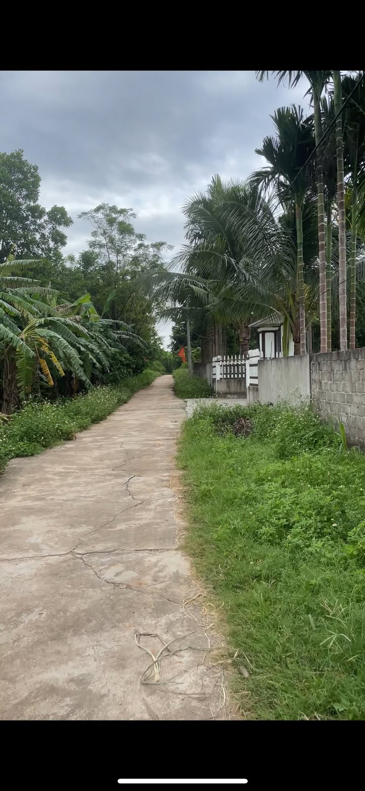 Đất nền Tam Hợp, Quỳ Hợp 750m² - Cơ hội đầu tư không thể bỏ lỡ!