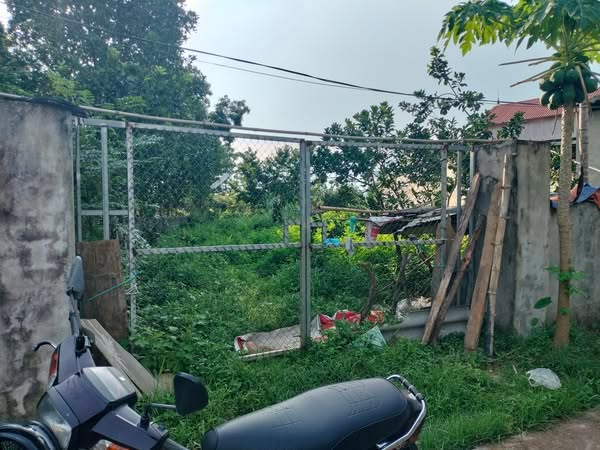 Đất nền Lương Sơn 454m² giá 3 tỷ - Mặt tiền 12m, đường thông