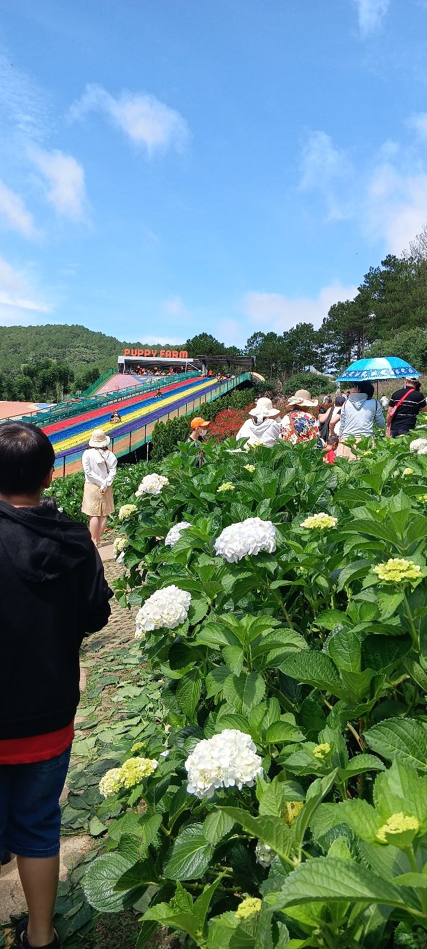 Đất thổ cư 570m² tại thôn 13 Lộc Thành, giá 1.2 tỷ - Cơ hội đầu tư tuyệt vời!