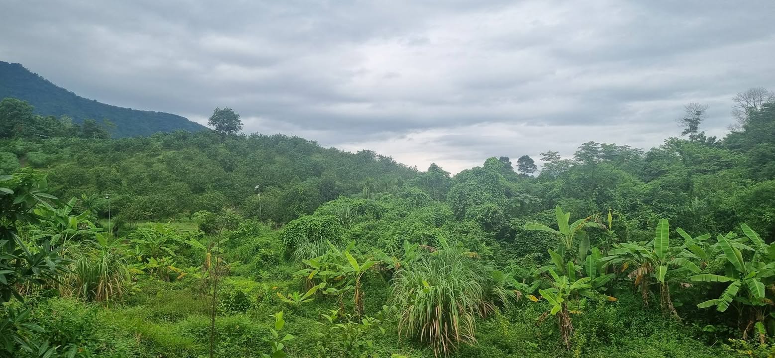 Đất nghỉ dưỡng Yên Xuân Thạch Thất 966m² giá 2.898 tỷ - Cơ hội đầu tư vàng!