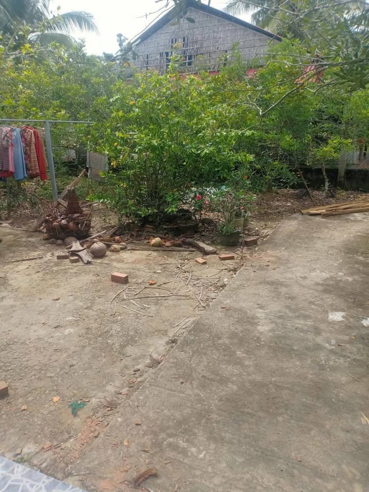 Đất mặt tiền Phú Tân Vĩnh Long 689m² giá 850 triệu - Chính chủ bán gấp!