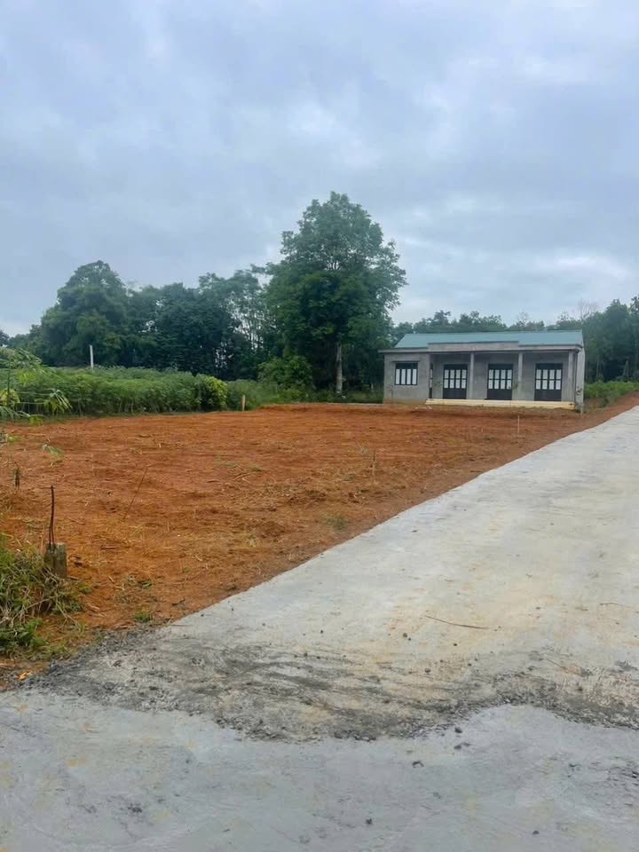 Đất nền Yên Nghiệp Lạc Sơn 20m² giá 160 triệu - Sổ đỏ chính chủ