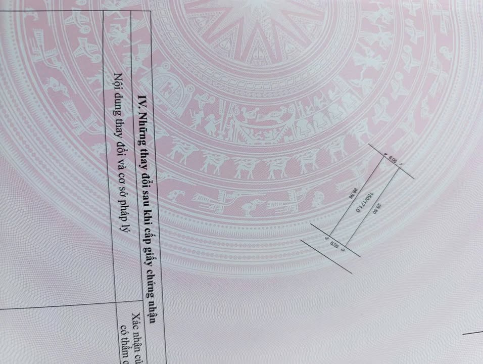 Đất đẹp tại Minh Phú, Sóc Sơn 178m² - Cơ hội đầu tư hấp dẫn!