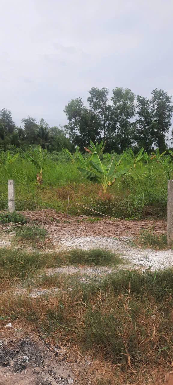 Đất mặt tiền Quốc Lộ 57B, Long Định, Bình Đại, Bến Tre - 566m² giá 4.2 tỷ - Cơ hội đầu tư hiếm có!