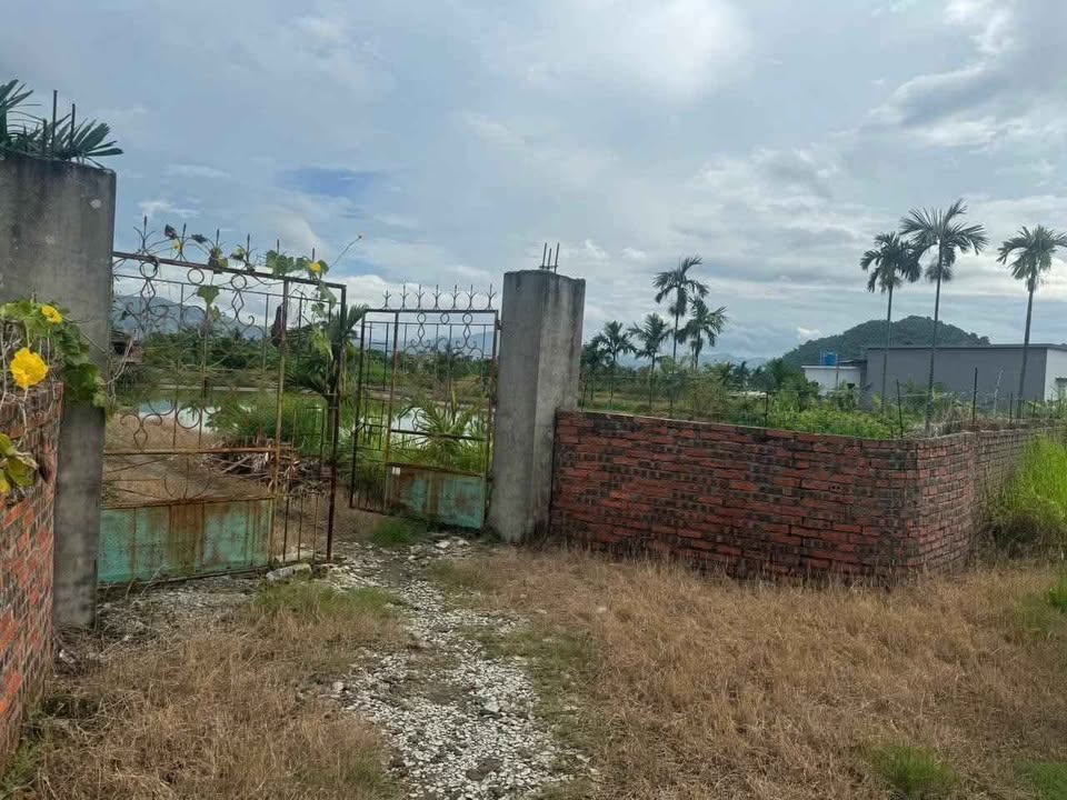 Farm Yên Đức 4868m² giá 1.2 tỷ - Tận hưởng cuộc sống thiên nhiên!