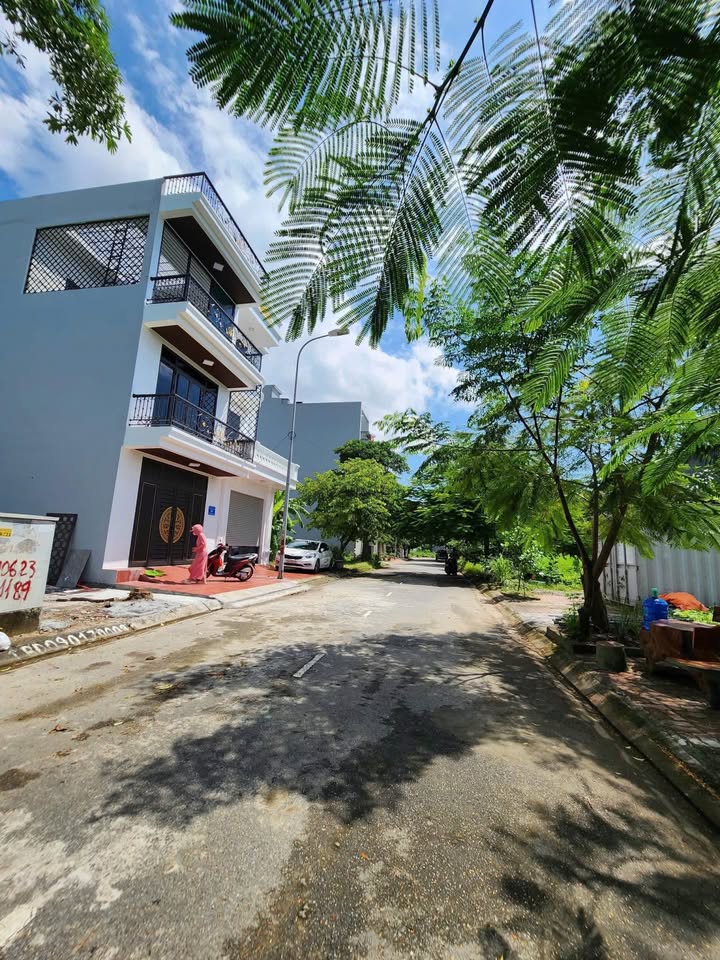 Đất nền 78,75m² tại TĐC Bạch Mai, Đồng Thái - Vị trí đắc địa, giá chỉ 3 tỷ!