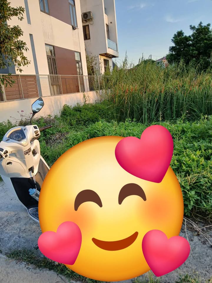 Đất nền TĐC Câu Đông, An Quang, Hải Phòng 100m² giá 1 tỷ - Cơ hội đầu tư tuyệt vời!