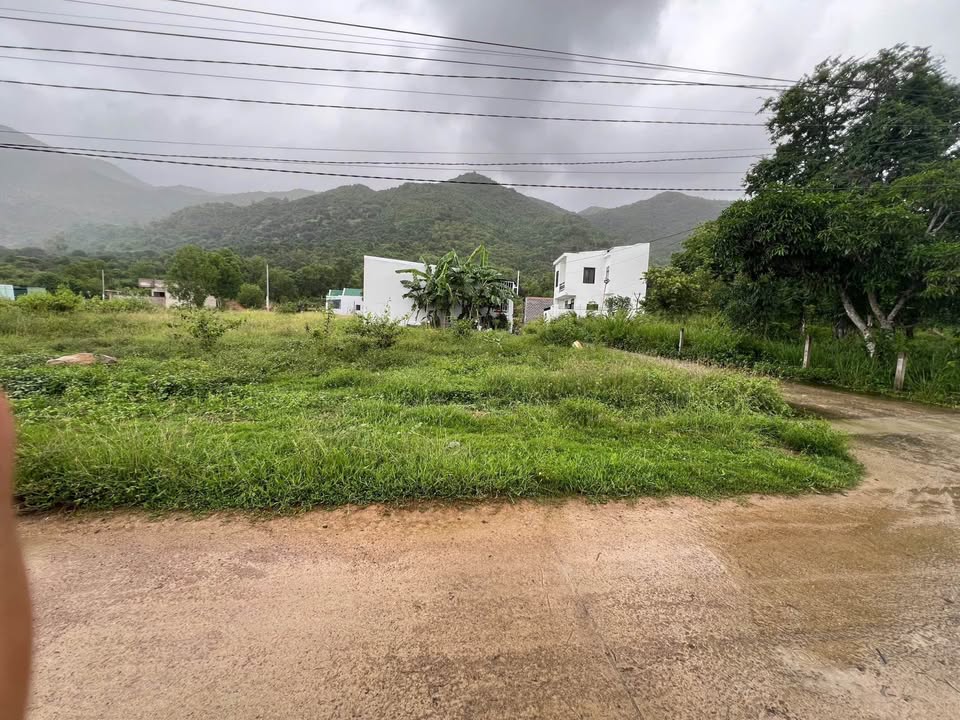 Đất thổ cư mặt tiền Thôn An Ninh, Diên An 102m² giá 1.25 tỷ - Đầu tư sinh lời ngay!