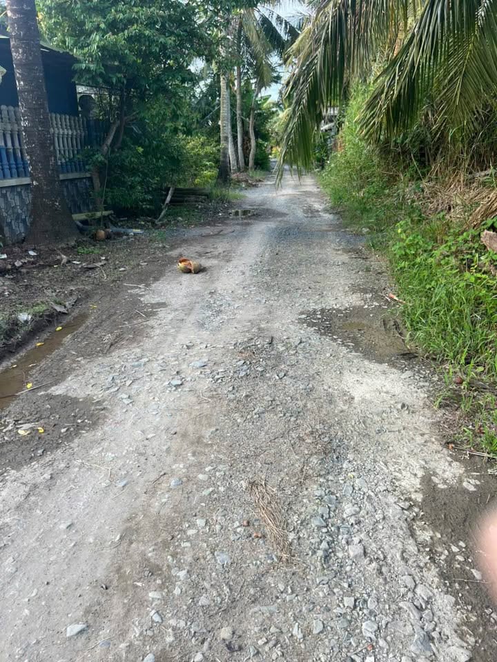 Đất nền chính chủ Tân Long Hội 1253m² giá 1.6 tỷ - Đầu tư sinh lời cao!