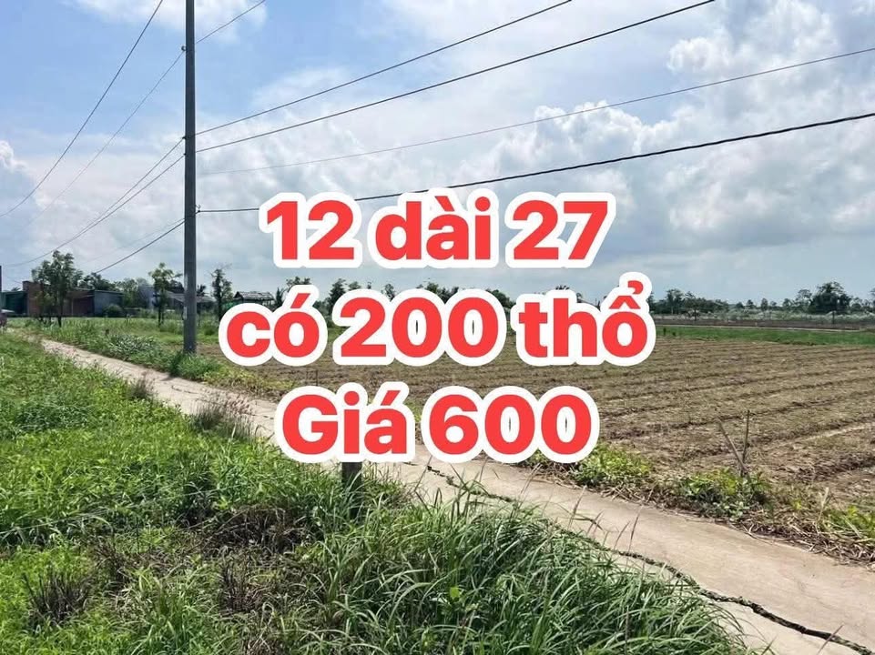 Đất nền Tân Điền Gò Công Đông 324m² giá 600 triệu - Sổ đỏ chính chủ