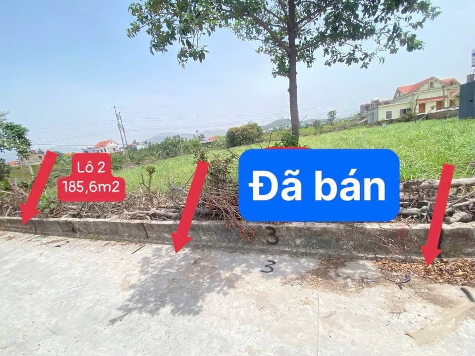 Đất nền phường An Sinh 185m² giá 400 triệu - Đường ô tô vào tận đất!