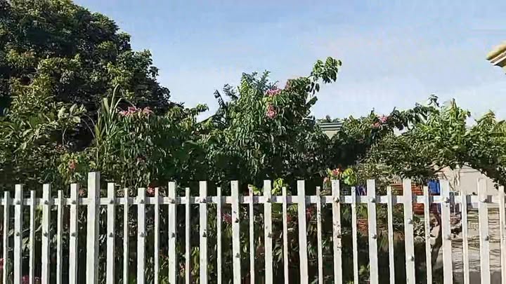 Đất thổ cư 80m² tại xóm Hải Cường, Giao Phúc - Vị trí thuận lợi, giá thỏa thuận!