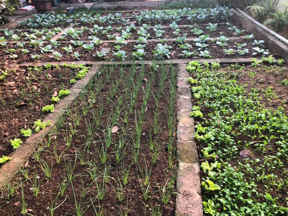 Đất thổ cư mặt đường Trần Thái Tông Nam Định 299m² - Cơ hội đầu tư tuyệt vời!