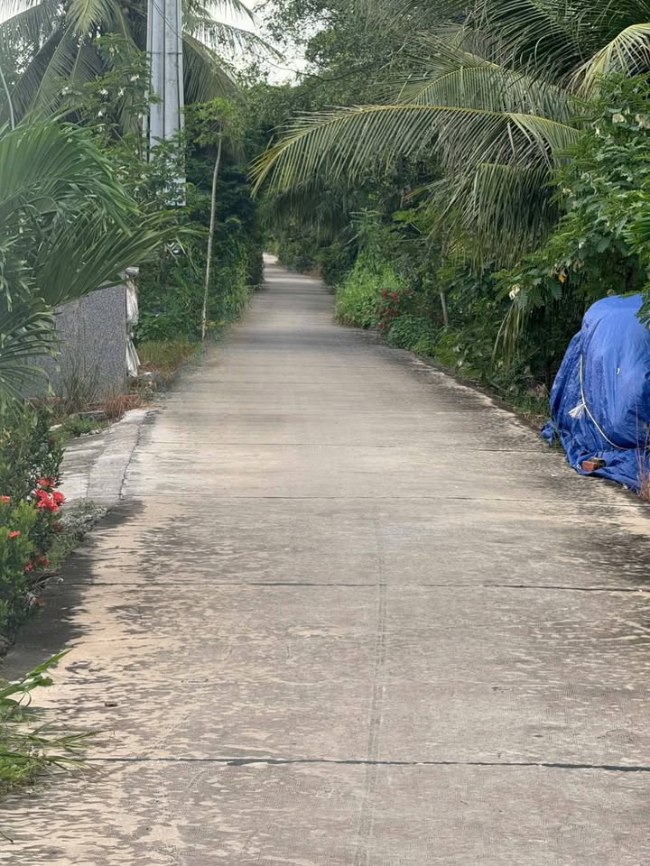 Nhà cấp 4 mặt tiền Đan Kênh 180m² giá 1.8 tỷ - Gần ĐT 824, ô tô vào tận nhà!