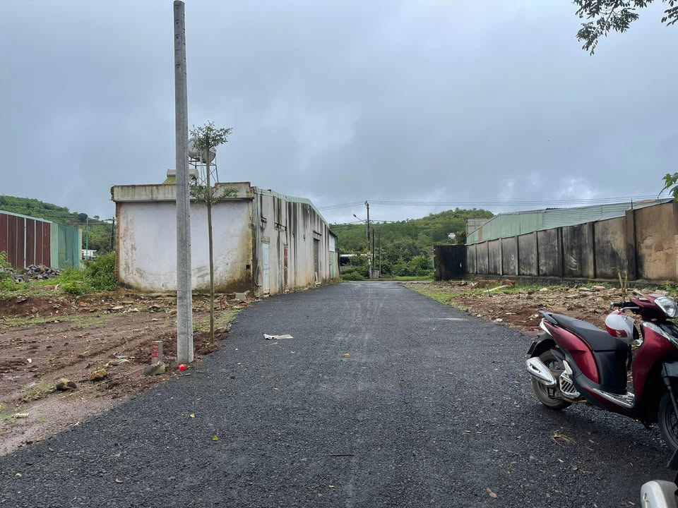 Đất nền chính chủ đường Lý Chính Thắng, Pleiku 115m² - Giá chỉ 550 triệu