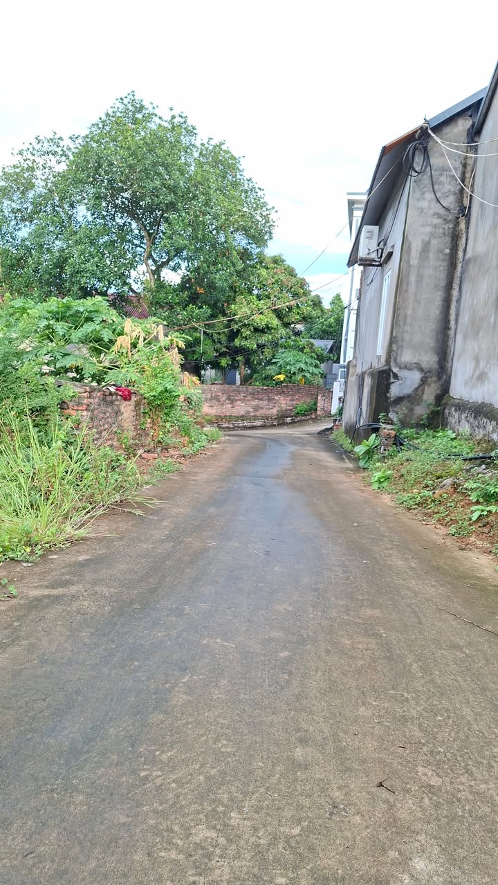 Đất xây phòng trọ tại Yên Lư, Yên Dũng 138m² giá chỉ 1.6 tỷ - Đầu tư sinh lời bền vững!