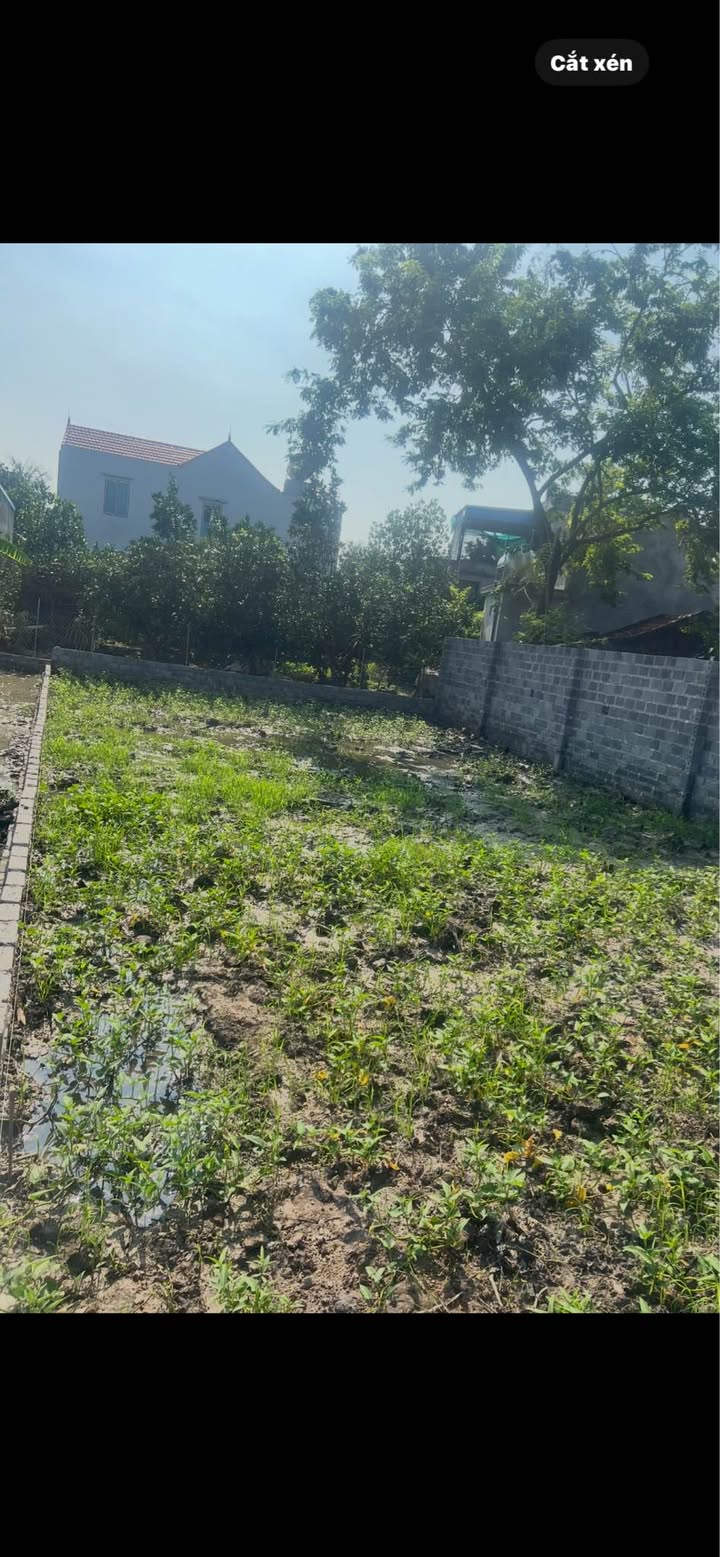 Đất chính chủ Vụ Bản 140m² giá chỉ 600 triệu - Đầu tư sinh lời ngay!