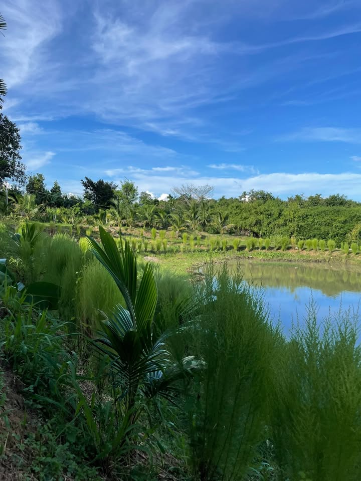 Đất nền Phú Xuân Krông Năng 2300m² - Pháp lý rõ ràng, view hồ tuyệt đẹp!