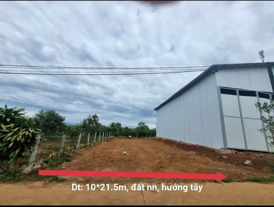 Đất nền phường Hội Phú, Pleiku 212m² giá 510 triệu - Pháp lý rõ ràng, sang tên ngay!