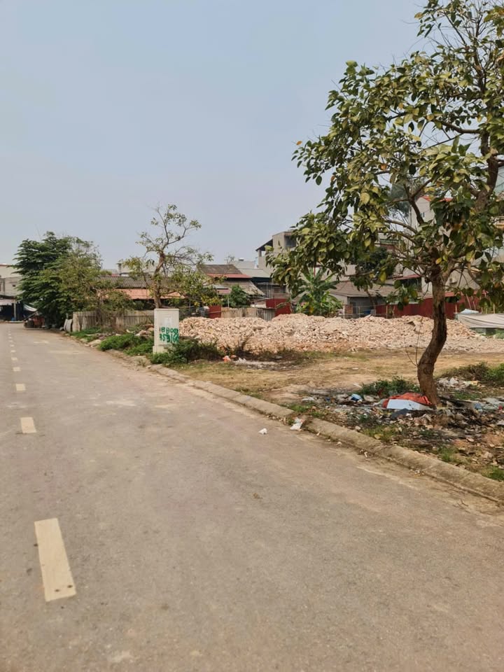 Đất nền đấu giá tại phường Đa Mai, Bắc Ninh 100m² giá 2 tỷ - Tiềm năng tăng giá cao!