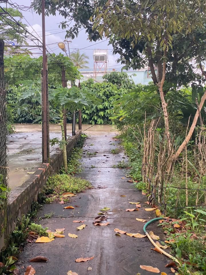 Nhà hẻm Võ Văn Kiệt, An Khê 297m² giá 800 triệu - Chính chủ bán gấp!