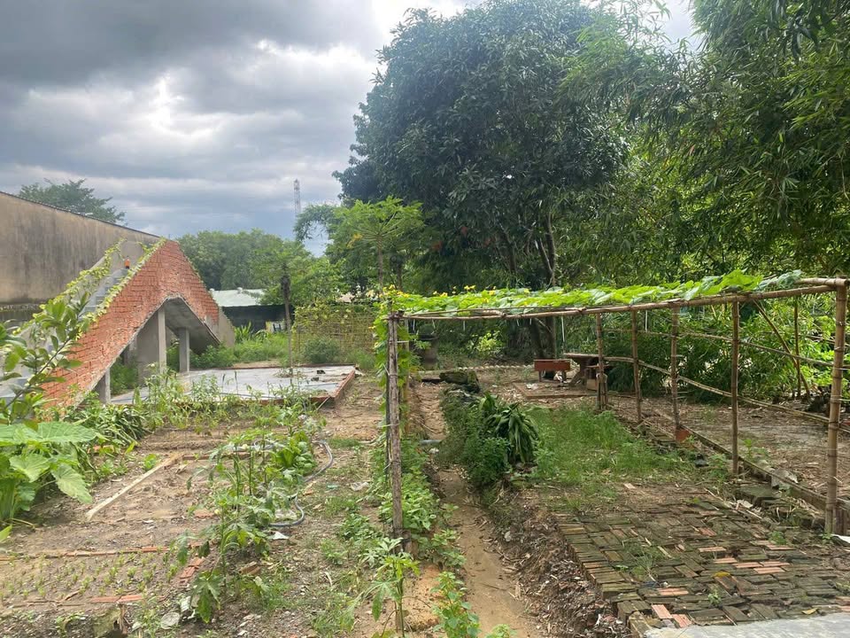 Nhà cho thuê tại Dĩ An 1000m² giá 5 triệu - Không gian rộng rãi gần Suối Lồ Ồ!