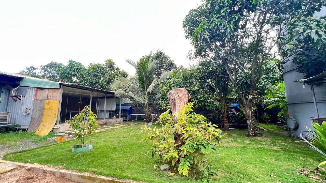 Cho thuê kho bãi 24.000m² tại Biên Hòa, Đồng Nai - Giá chỉ 120 triệu/tháng!