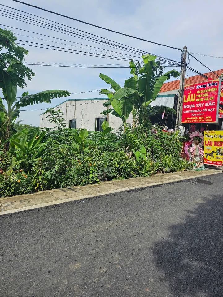 Đất thổ cư 125m² chính chủ tại Khu 5, Thanh Đình, Việt Trì - Giá chỉ 2.29 tỷ!