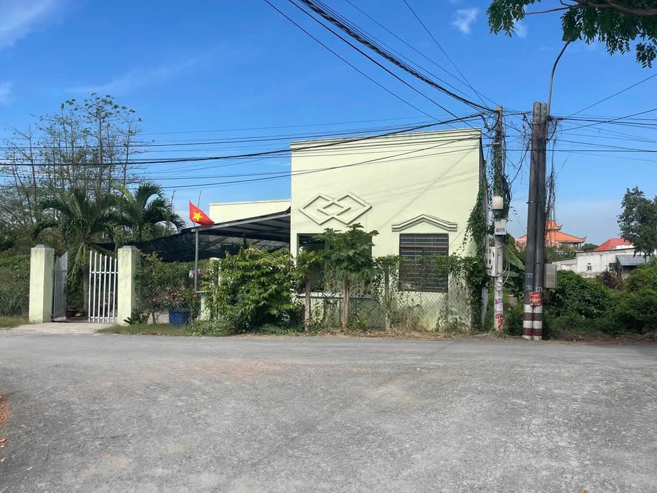 Nhà cấp 4 mặt tiền Nguyễn Văn Thậm, 240m² chỉ 2.2 tỷ - Đầu tư sinh lời!