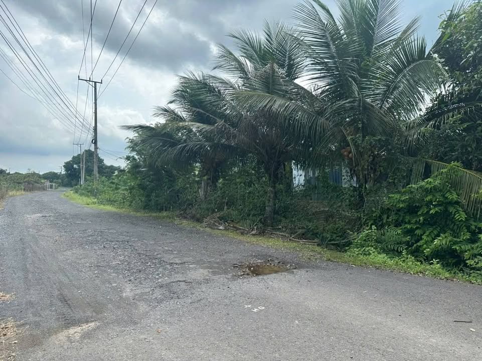 Nhà cấp 4 540m² xã Hồ Tràm - Giá chỉ 1.2 tỷ - Đầu tư sinh lời!