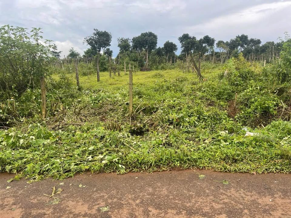 Đất nền hẻm Ngô Quyền, Pleiku 180m² giá 600 triệu - Cơ hội đầu tư hấp dẫn!