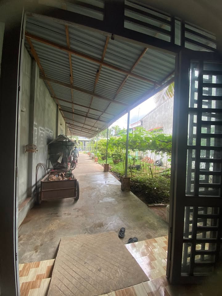 Đất nền Tân Biên Tây Ninh 1260m² giá 135 triệu - Tiềm năng phát triển lớn!