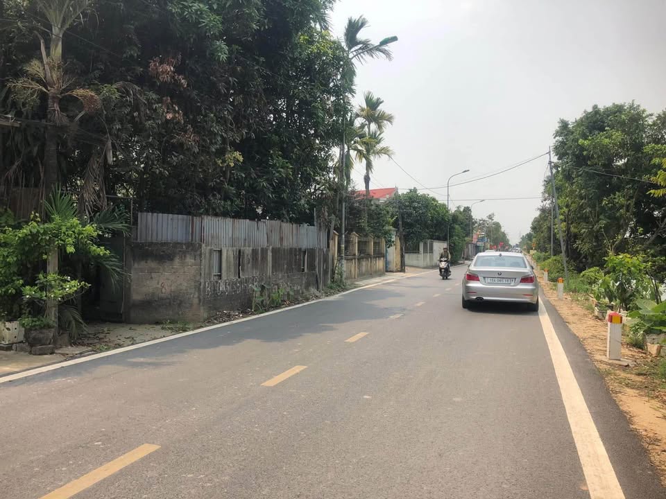 Đất nền đường Bạch Mai, Đồng Thái 355m² giá thỏa thuận - Kinh doanh thuận lợi!