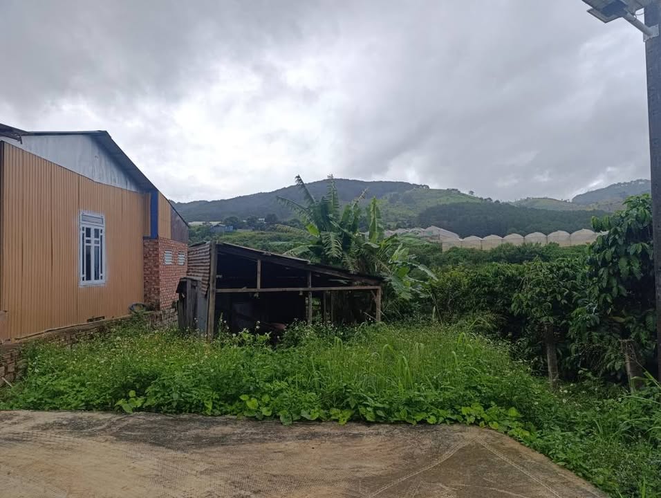 Đất nền Cam Ly Đà Lạt 180m² giá 550 triệu - View đẹp, đầu tư sinh lời!