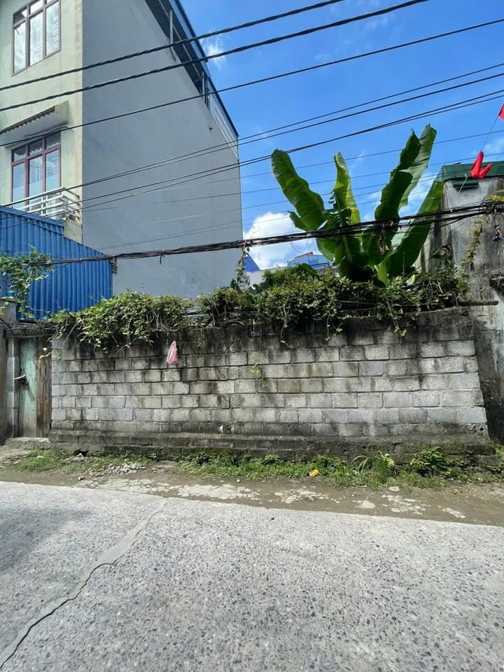 Đất nền mặt ngõ Trần Hưng Đạo, Nam Định 66.5m² giá 1.75 tỷ - Vị trí đắc địa, ô tô chạy thông!