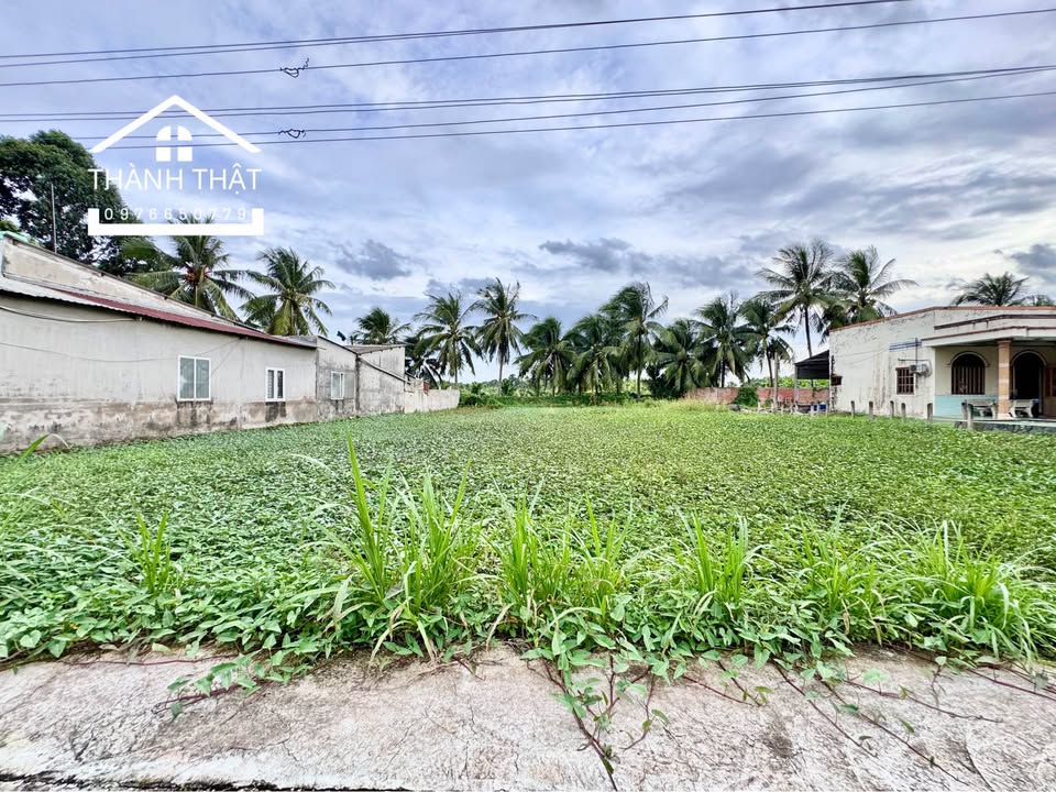 Bán 2 Nền Đất Thổ Cư Liền Kề 4x39m Giá 720 triệu - Vị trí đắc địa gần Quảng Trường Mỹ Tho!