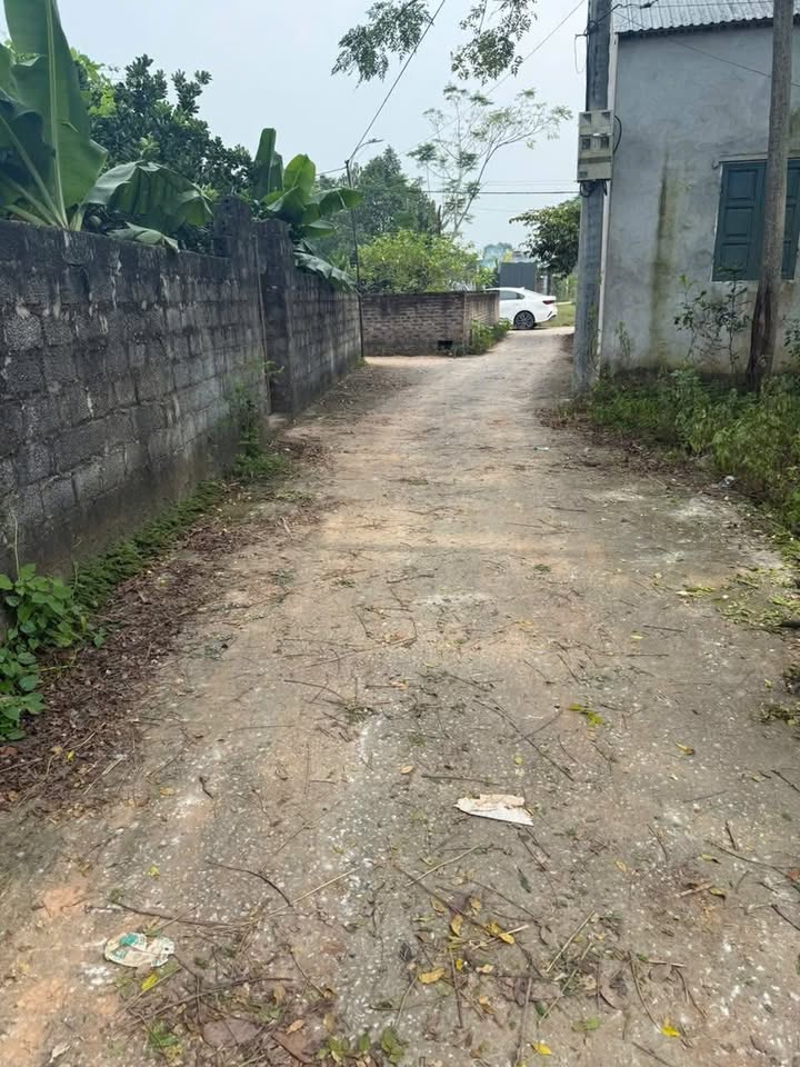 Đất nền 131m² tại Cát Lễ, Sài Sơn, Quốc Oai - Giá chỉ 3 tỷ!