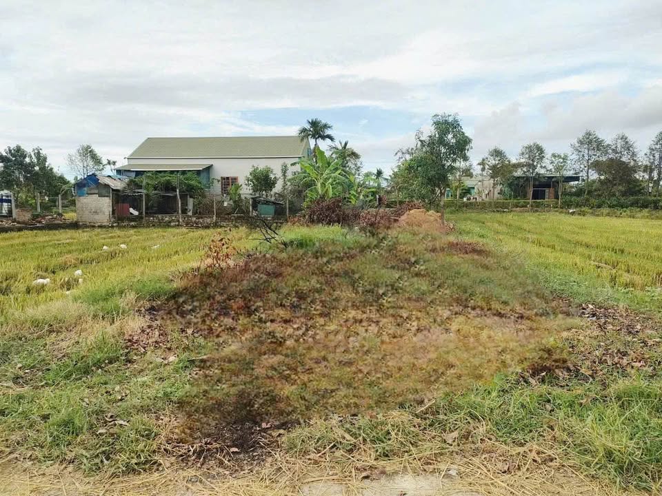 Đất quy hoạch 2 mặt tiền thôn Bình Yên, Thạch Bình 115m² giá 1.6 tỷ - Đầu tư sinh lời ngay!