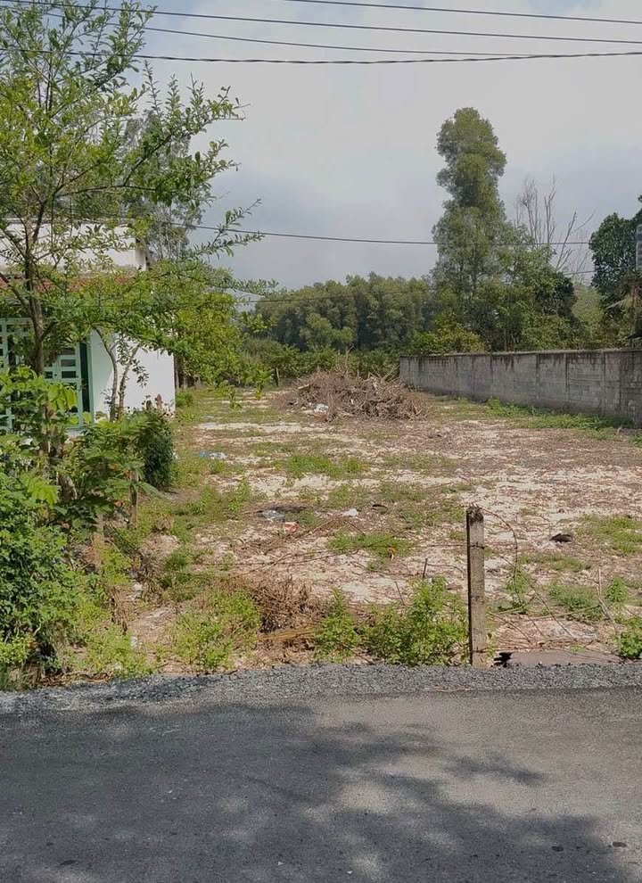 Đất thổ cư Nhuận Đức, Củ Chi 975m² giá 5 tỷ - Đầu tư sinh lời ngay!